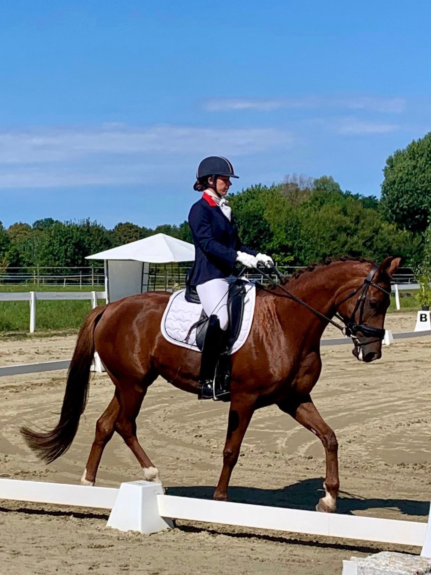 Maša Schneider & Diva